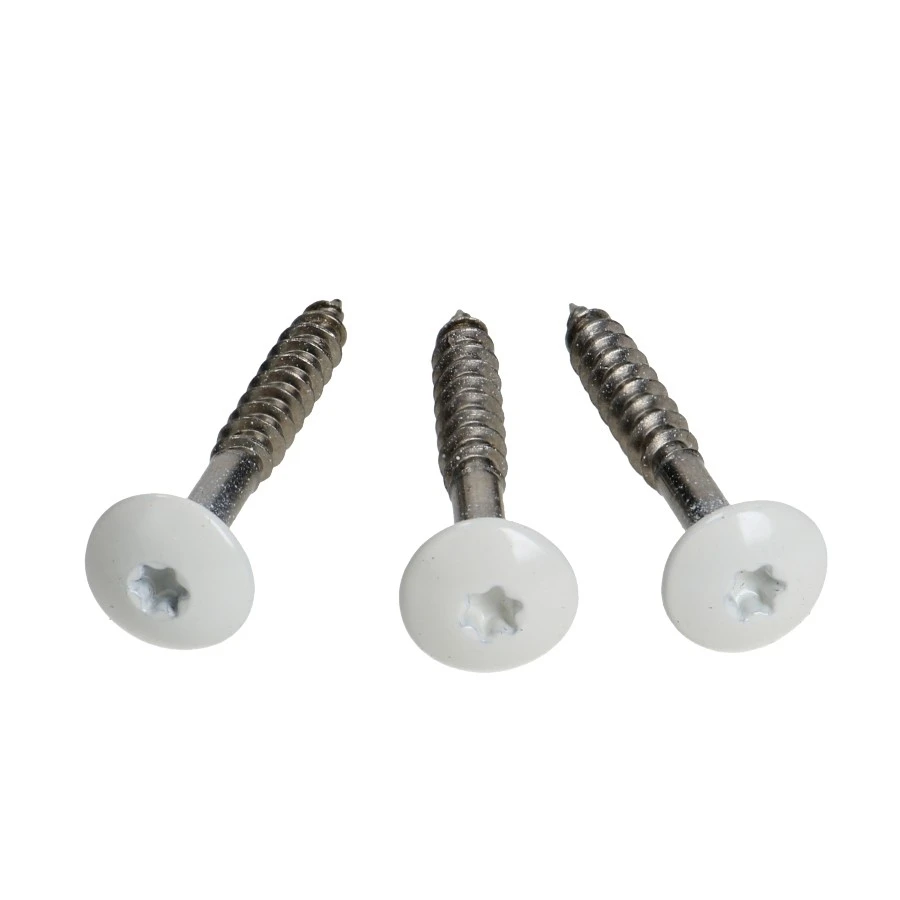 Vis Pour Bardage HPL Composite En Inox à Tête Colorée Blanc RAL 9010 3 Vis Pour Bardage HPL Composite En Inox à Tête Colorée Blanc RAL 9010